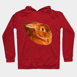 Rex Rabbit close up Hoodie